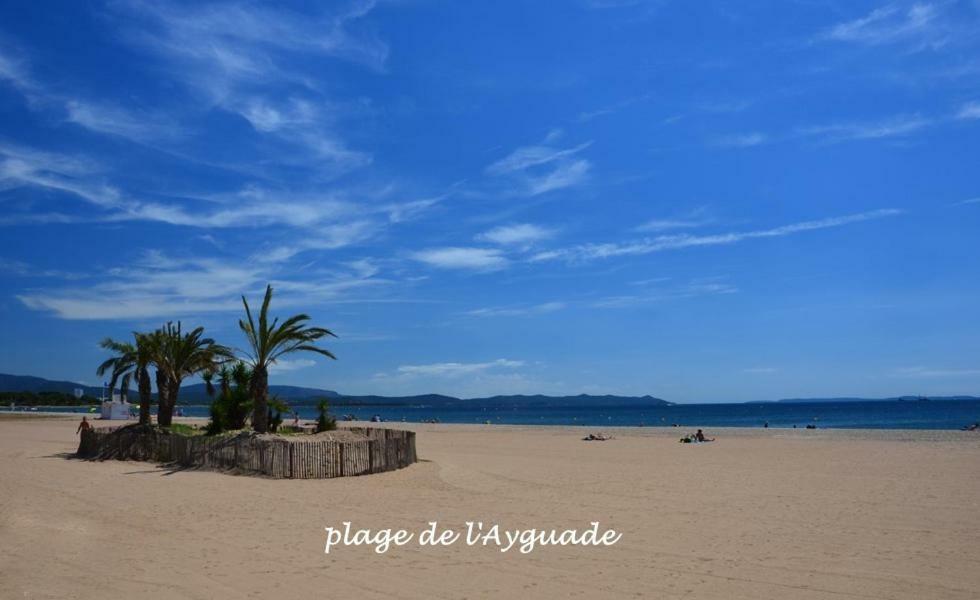 Plage A 400 M Studio Tout Confort Terrasse Clim Parking イエール エクステリア 写真